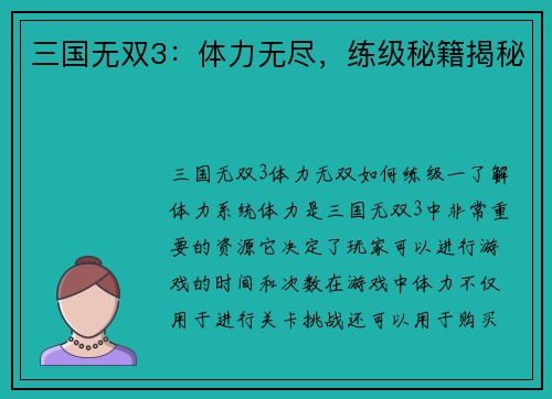 三国无双3：体力无尽，练级秘籍揭秘