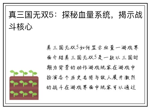 真三国无双5：探秘血量系统，揭示战斗核心